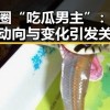娱乐圈“吃瓜男主”：他们的动向与变化引发关注