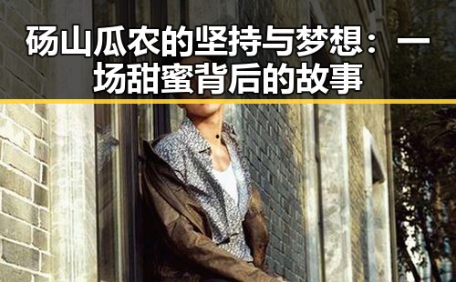 砀山瓜农的坚持与梦想:一场甜蜜背后的故事