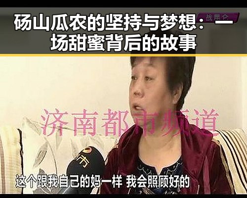 砀山瓜农的坚持与梦想:一场甜蜜背后的故事