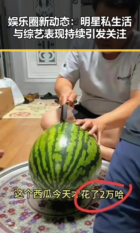 娱乐圈新动态：明星私生活与综艺表现持续引发关注