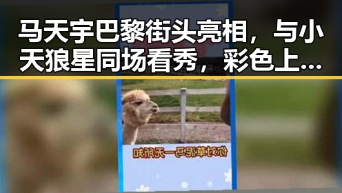 马天宇巴黎街头亮相，与小天狼星同场看秀，彩色上衣秀出浪漫氛围！